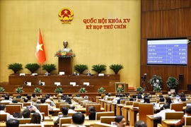 Национальное собрание 24 июня 2025 года утром проголосовало за принятие Закона о внесении изменений и дополнений в отдельные статьи Закона о гражданстве Вьетнама. (Фото: ВИА)