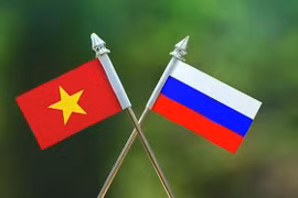 Поиск возможностей вьетнамско-российского сотрудничества в цифровую эпоху
