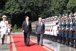 Президент государства Лыонг Кыонг и Король Иордании Абдалла II ибн аль-Хусейн принимают строй Почётного караула Вьетнамской народной армии. (Фото: ВИА)