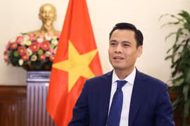 Заместитель министра иностранных дел Данг Хоанг Жанг. (Фото: ВИА)