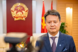 Генеральный директор ВОИС Дарен Танг дал интервью средствам массовой информации о перспективах сотрудничества организации с Вьетнамом в ближайшее время. (Фото: ВИА)