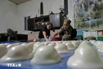 Рисовые лепешки «бань-зай» после наполнения начинкой. Фото: Чан Вьет/ВИА