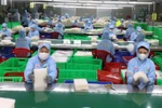 Рабочие сортировали рисовую бумагу на предприятии Tan Nhien Co. Ltd. в провинции Тайнинь. (Фото: ВИA)
