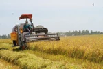 Усилия будут направлены на расширение крупномасштабных, устойчивых и экологичных методов ведения сельского хозяйства (Иллюстративное изображение. Источник: ВИA)