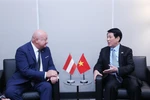 Президент государства Лыонг Кыонг встречается с канцлером Австрии Кристианом Штокером. (Фото: ВИА)