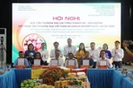 Предприятия подписывают соглашения о сотрудничестве с кооперативами по производству личи в Тханьха на конференции 30 мая. (Фото: ВИA)