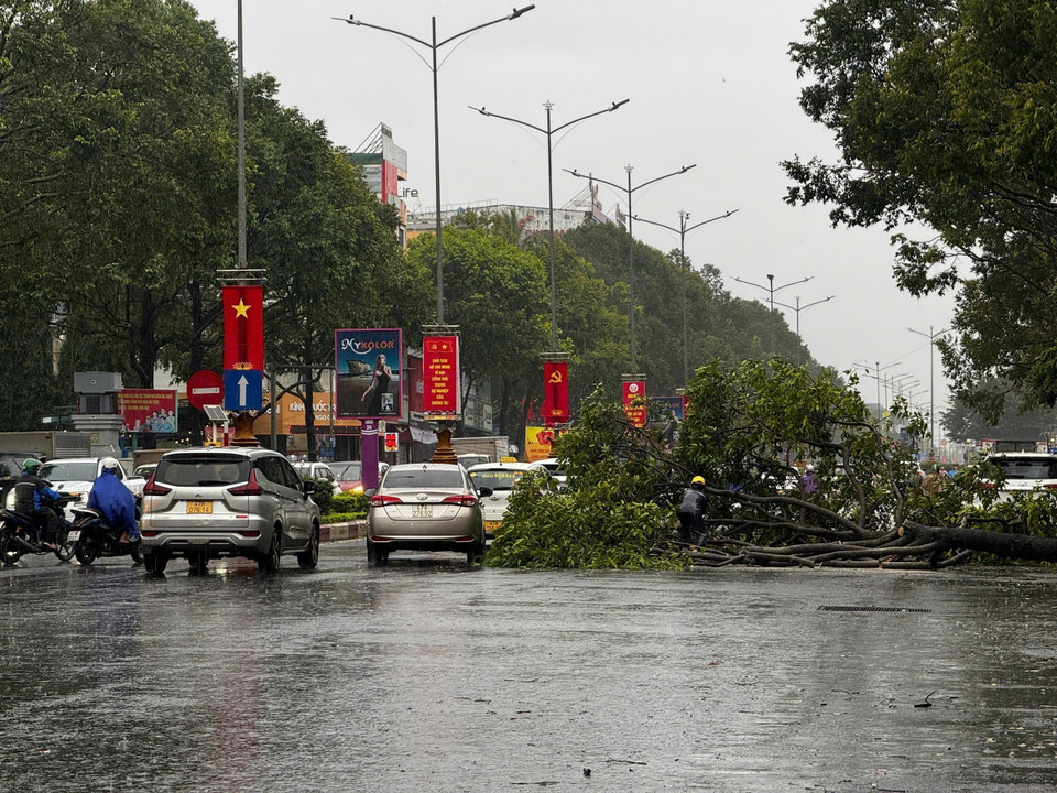 После полудня 6 ноября, под воздействием тайфуна №13, во многих районах провинции Даклак наблюдались сильный ветер, проливные дожди и высокие волны, повалившие деревья. (Фото: ВИА)
