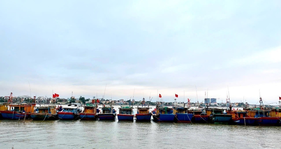 В провинции Куангчи насчитывается всего 8 720 судов с 23 360 рыбаками. По состоянию на 15:00 6 ноября 8 699 судов с 23 205 рыбаками уже нашли укрытие в портах. (Фото: ВИА)