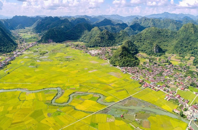 Долина Бакшон (провинция Лангшон) расположена на равнинной, просторной территории с мягким климатом и плодородной почвой, что создаёт благоприятные условия для возделывания двух урожаев в год. (Фото: ВИА)