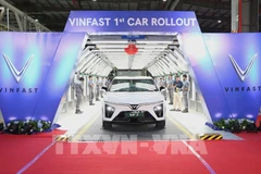 Модели электромобилей производятся на заводе VinFast India (Фото: ВИА)