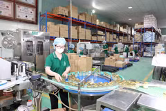 Предприятие по производству продуктов из ласточкиных гнёзд в провинции Кханьхоа (Фото: ВИА)