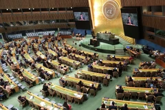 Общий вид пленарного заседания по выборам членов Совета ООН по правам человека на срок 2026–2028 годов (Фото: ВИА)