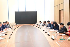 Встреча делегации Правительства Вьетнама с Председателем Национального банка Казахстана Тимуром Сулейменовым 3 февраля (Фото: ВИА)