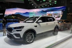 Skoda Kushaq находится в сегменте внедорожников B-сегмента