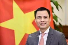 Замминистра иностранных дел Данг Хоанг Зянг