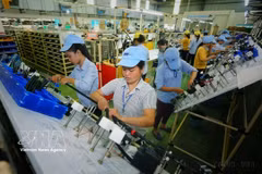 Производство электрических и электронных компонентов в компании Minda Vietnam Auto Components Co., Ltd. (инвестиции Индии) в провинции Футхо (Фото: ВИА)