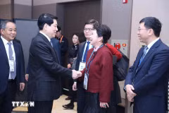 Президент Лыонг Кыонг принял доктора Ли Ли, основателя корпорации MEBO International (Фото: ВИА)