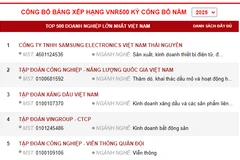 Публикация рейтинга VNR500 за 2025 год. (Организатор)