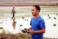 Сеять «технологии» на органическом поле