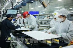 Производственная деятельность компании с ограниченной ответственностью Regza Vietnam Electronics, расположенной на территории провинции Донгнай (Фото: ВИА)