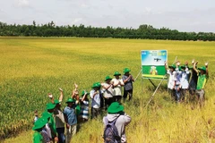 Petrovietnam и его ключевая роль в обеспечении продовольственной безопасности страны (Фото: Petrotimes.vn)