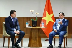 Премьер-министр Фам Минь Тьинь принял руководителей JSB Group — ведущей мировой группы в сфере пищевой промышленности (Фото: ВИА)