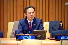 Постоянный представитель Вьетнама при ООН, посол До Хунг Вьет, выступает на заседании (Фото: ВИА)
