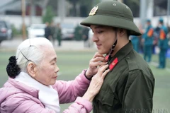 День вьетнамской семьи (28 июня): Сохраняя семейный очаг, распространяем любовь