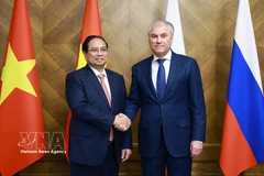 Премьер-министр Фам Минь Тьинь провёл встречу с Председателем Государственной Думы РФ Вячеславом Володиным (Фото: ВИА)
