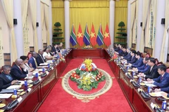 Президент Лыонг Кыонг и Президент ЮАР Матамела Сирил Рамафоса проводят переговоры (Фото: ВИА)