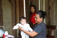 Нгеан: ритм жизни народа Данлай среди бескрайних лесов Пумат