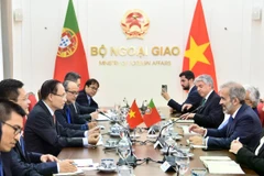 Общий вид переговоров (Фото: МИД Вьетнама)