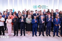 Премьер-министр Фам Минь Тьинь и главы делегаций, участвующих в UNOC 3, позируют для группового фото (Фото: ВИА)