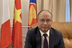 Посол Вьетнама во Франции Динь Тоан Тханг (Фото: ВИА)
