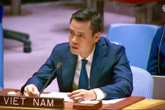 Посол Данг Хоанг Зянг, глава Постоянного представительства Вьетнама при ООН (Фото: ВИА)