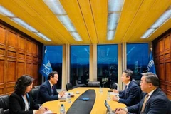 Посол Май Фан Зунг проводит рабочую встречу с представителями Всемирной организации интеллектуальной собственности (ВОИС) (Фото: ВИА)