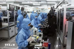 Производственная линия по выпуску модулей камер и электронных компонентов для экспорта на заводе компании MCNEX VINA (100% корейский капитал), промышленная зона Фукшон, провинция Ниньбинь (Фото: ВИА)