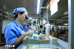 В настоящее время Япония является ведущим экономическим партнёром Вьетнама и крупнейшим донором ОДР во Вьетнамей (Фото: ВИА) 