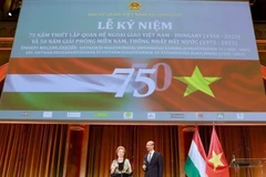 Всеобъемлющее партнёрство между Вьетнамом и Венгрией развивается во всех сферах