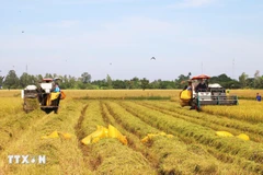 Прорывные меры политики и оперативность их реализации вселяют в людей большие ожидания относительно нового качества жизни (Фото: ВИА)