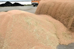 (Фото: интернет)