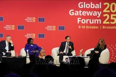 Заместитель Премьер-министра Буй Тхань Шон на сессии высокого уровня по теме «Мировая ситуация» (Фото: ВИА)
