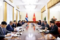 Сцена консультации (Фото: МИД Вьетнама)