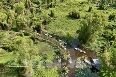 В 2026 году будет завершено формирование базы данных о лесах в целях адаптации к Регламенту ЕС о регулировании импорта и экспорта продукции, не связанной с обезлесением и деградацией лесов (Фото: ВИА)