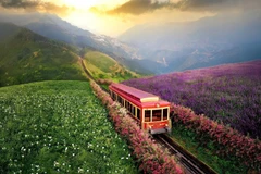 Вьетнам подтверждает всё более прочные позиции на глобальной туристической карте