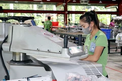 Рабочие на предприятии Maxport Limited Vietnam — филиал Намдинь (провинция Ниньбинь) (Фото: ВИА)