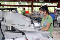 Рабочие на предприятии Maxport Limited Vietnam — филиал Намдинь (провинция Ниньбинь) (Фото: ВИА)