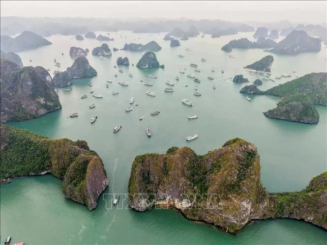  Красота залива Халонг привлекает иностранных туристов (Фото: ВИA) 