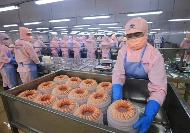 Креветки, обработанные для экспорта на заводе Minh Phu Group. Несколько международных организаций понизили прогноз экономического роста Вьетнама до 6-6,2% в 2025 году из-за неопределенности глобальной политики. (Фото: ВИA)