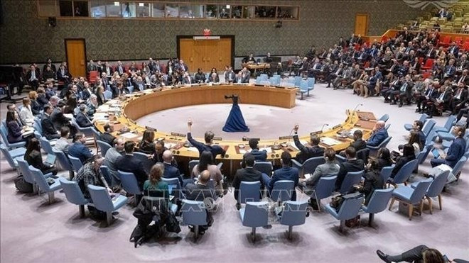 Обзор сессии (Фото: ВИA)